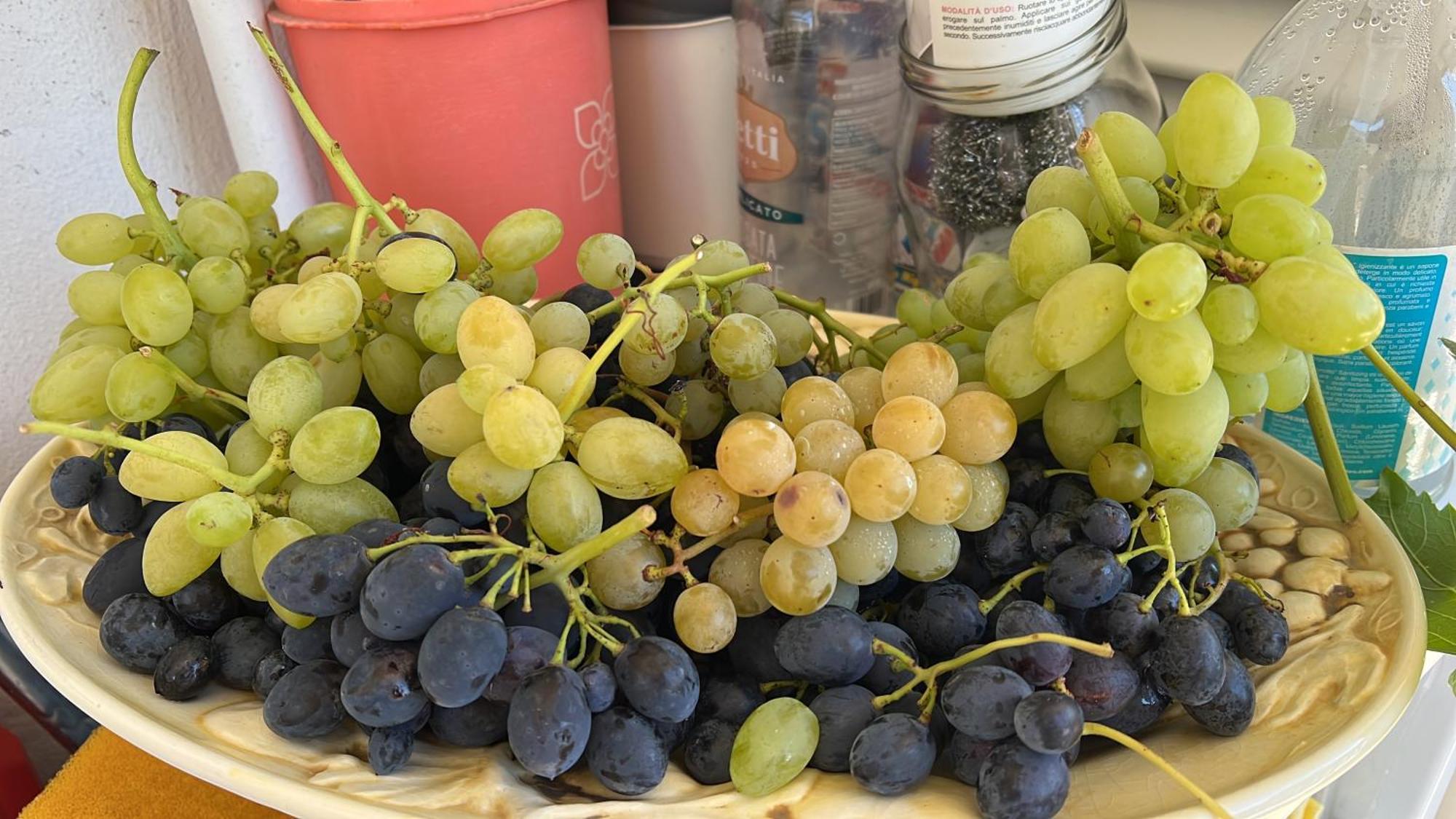토레 안눈치아타 Sogno Di Mezza Estate 아파트 외부 사진